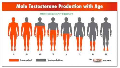 男性睾酮多少正常