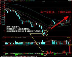 同花顺软件里有个dde净量是什么意思?