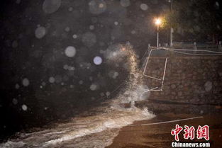 台风 苗柏 登陆前夕 狂风暴雨催人还 