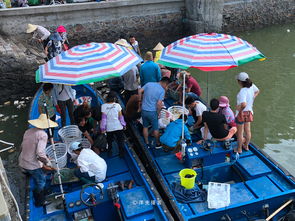 这才是去北海吃海鲜的最佳姿势,不仅省钱,还能吃得非常好