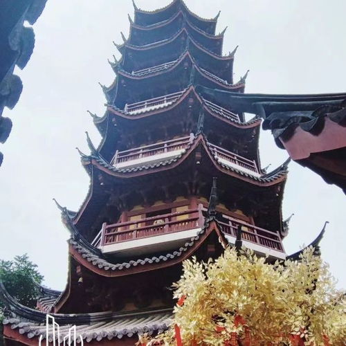 南京鸡鸣寺门票,鸡鸣寺门票多少钱-第4张图片