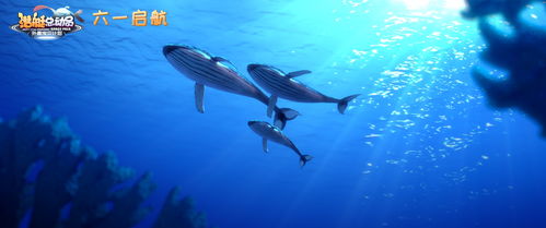 潜艇总动员2008动画片在线看,潜水艇总动员2008动画在线观看,精彩绝伦的海洋冒险!
