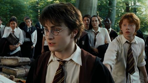 哈利波特电影1,哈利波特电影是全球的电影之一,它讲述了一个年轻男孩哈利波特在霍格沃茨魔法学校的冒险经历