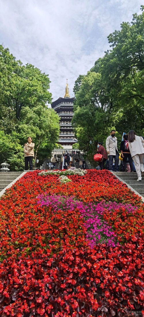 走马观花游华东之6 雷峰塔上看西湖