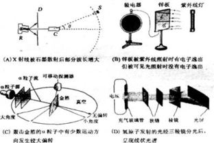 22.2008年诺贝尔物理学奖项的一半由日本高能加速器研究机构 KEK 的小林诚和京都大学的益川敏英分享.以表彰他们发现了对称性破缺的起源.并由此预言了自然界中至少三个夸克家族的存在 