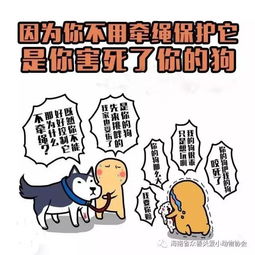 善良,是一种选择 