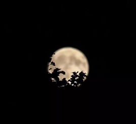 彩云追月 燃爆微信朋友圈,昨晚青岛的月亮美得像一个传说