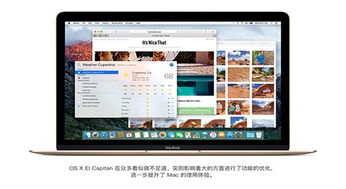 MAC OS X 10.11.4下载 OS X 10.11正式版下载 V10.11.6 PC6苹果网 