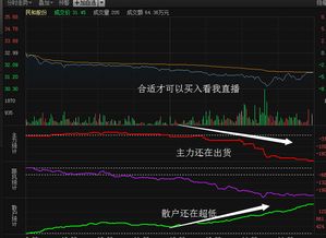 民和股份今天刚买进，请给个建议。