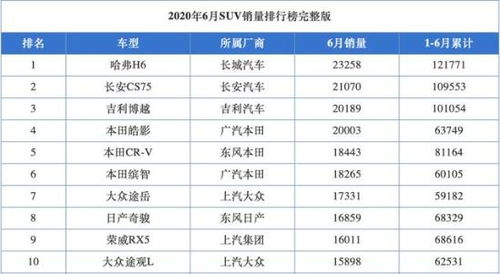 6月份汽车销量排行榜6月份汽车(2024年11月份国产车销量排行榜)