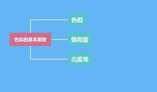 摄影入门需要掌握些什么知识