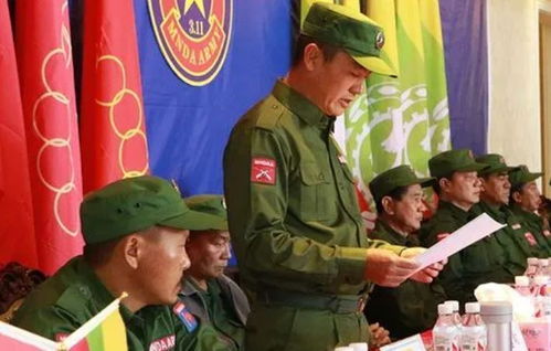缅甸军政府,缅甸军政府的概况和历史