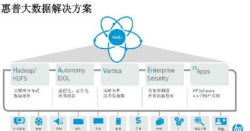 大数据解决方案公司,引领企业数字化转型的先锋