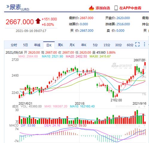 股指期货主力合约触底反弹，涨幅为0.64%