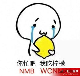 网络nmb什么意思,nnb什么意思啊!-第2张图片