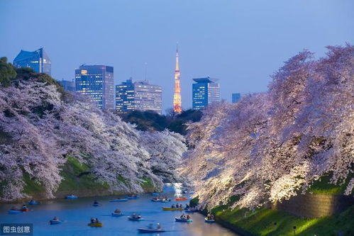 出境旅游攻略,日本东京旅游攻略
