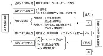 高中生物知识点归纳