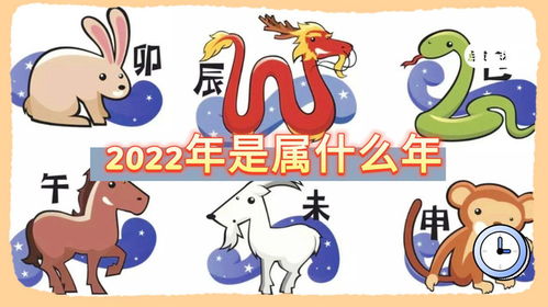 2022年属啥年