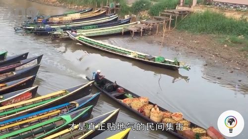 最顽强湖中岛 5000人水上建房种菜,还有独特划船绝技 