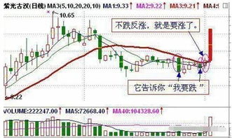 总有一些神奇的人不要钱告诉你哪些股票第二天能涨停