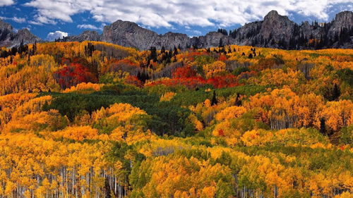 一重山,两重山,万叶千声出浅黄