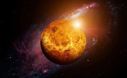 金星有生命体 科学家给了新颖看法,即使有也可能来自地球