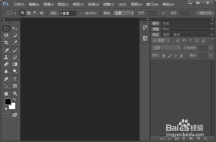 p网图用什么软件,Adobe Phooshop p网图用什么软件,Adobe Phooshop 词条