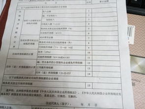 个人所得税哪里可以看到申报的工资总额