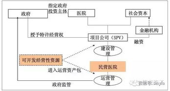 p网项目 词条