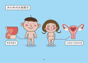 丁丁豆豆 成长故事 系列儿童性教育动画短片