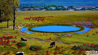 六月去哪旅游好还便宜,六月出游，这些地方便宜又好