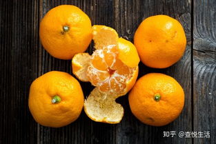 橙子是橘子和柚子杂交的 柑子 橘子 橙子竟有这么大区别 