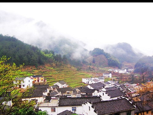 中国最适合度假养生的小山村,最大富硒村,70元一天包住宿与三餐