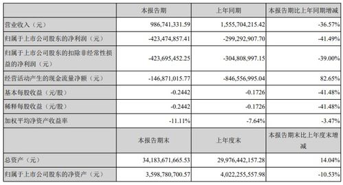 南国置业的分红对股票持有人好吗