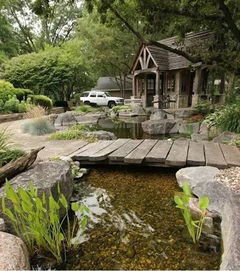 庭院中最美的水池景观 
