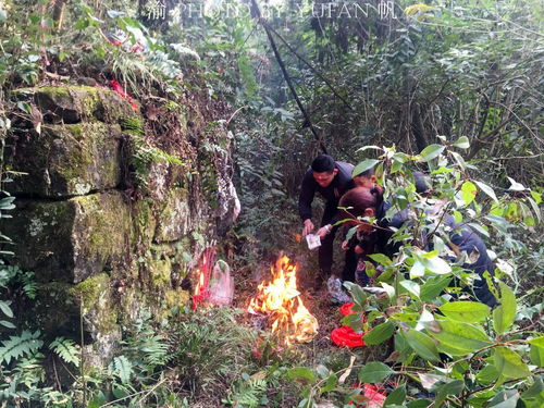 农村人上坟祭祖,结果弄错坟头烧纸敬香在别人家祖坟,该怎么办