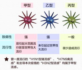 流感病毒“H”、“N”这两个字母代表什么意思(流感病毒的ha和na是指什么)