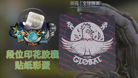 CSGO 新贴纸RMR刮之后展示 好看啊