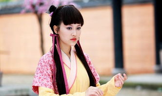 梅花儿香演员,梅花花香演员:是传播中华文化的重要角色。