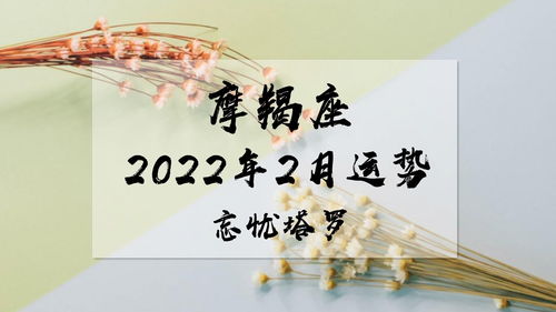 忘忧塔罗 摩羯座2022年2月运势,心情发生转变,从晴朗变得灰暗 