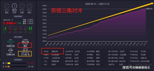 股票风险对冲技巧分析表, 股票风险对冲技巧分析