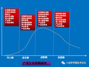 现阶段最佳的投资是什么？