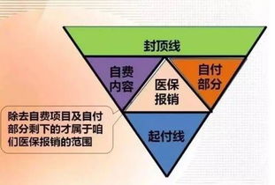 有没有疾病医疗的商业保险的 (中宏保险新宏悦万家)