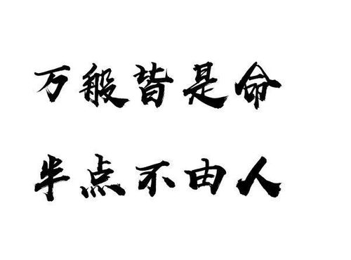 自恨枝无叶,莫怨太阳偏。大家都是命,半点不由人。这句话的意思是...  第1张