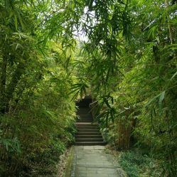 重庆雨台山公园(重庆雨台山旅游股份有限公司)