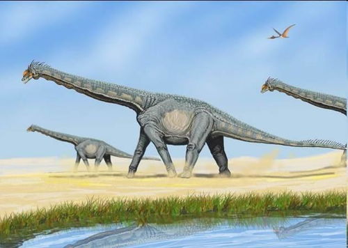 新型恐龙长50米,尾巴一扫如导弹轰炸,天敌只有夹尾巴逃跑的份