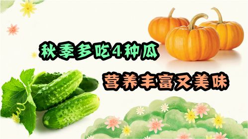 秋季也是吃瓜好时节,这4种瓜可以多吃,是养生人士的不二之选 