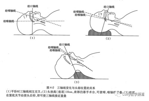 科普 你好,来把嘴巴张开,来说啊