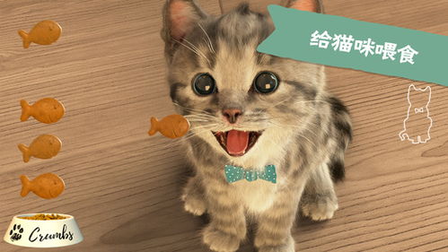 Little Kitten免费中文汉化版 Little Kitten猫咪养成游戏中文版v1.7 最新中文版 腾牛安卓网 