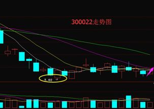 300022走势如何怎样操作